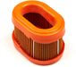 5404K Briggs and Stratton Air Filter 790166 Genuine Part
