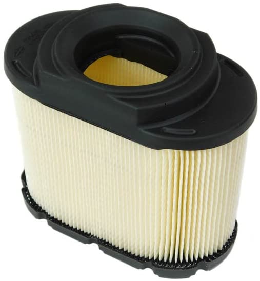 593240 Briggs Air filter Cartridge
